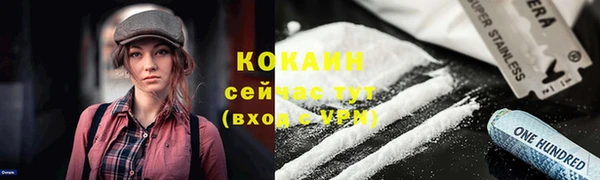 амф Алексин