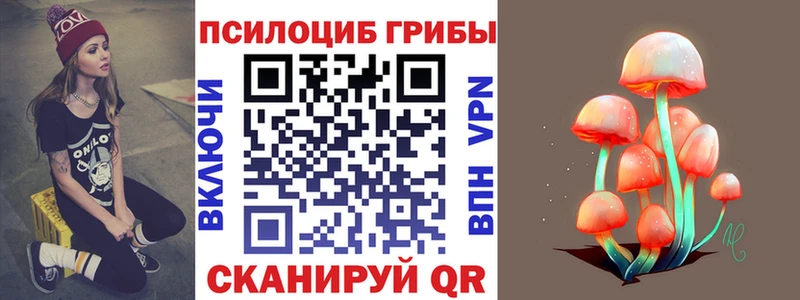 Псилоцибиновые грибы Psilocybine cubensis  блэк спрут как зайти  Кудрово 