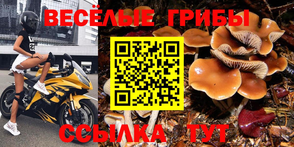 Галлюциногенные грибы GOLDEN TEACHER Кудрово