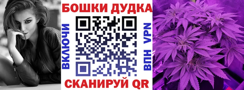 наркотики  Кудрово  Канабис индика 